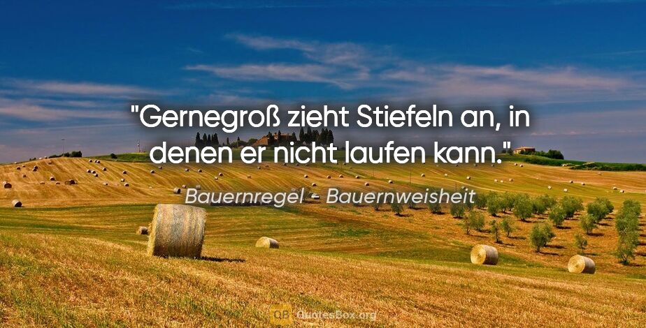 Bauernregel - Bauernweisheit Zitat: "Gernegroß zieht Stiefeln an, in denen er nicht laufen kann."