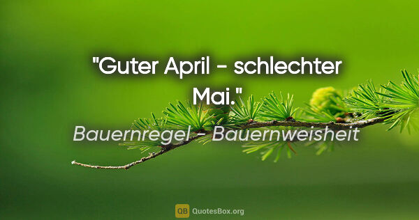 Bauernregel - Bauernweisheit Zitat: "Guter April - schlechter Mai."