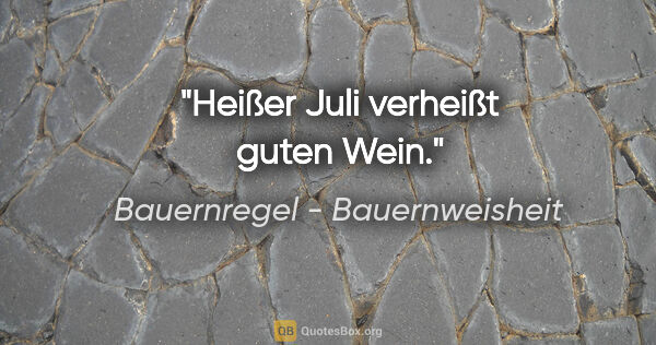 Bauernregel - Bauernweisheit Zitat: "Heißer Juli verheißt guten Wein."