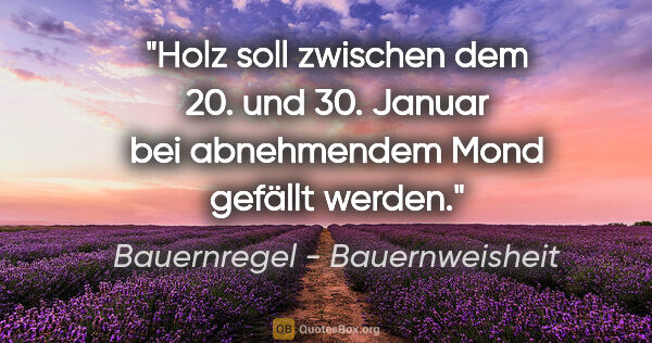Bauernregel - Bauernweisheit Zitat: "Holz soll zwischen dem 20. und 30. Januar bei abnehmendem Mond..."