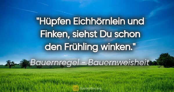 Bauernregel - Bauernweisheit Zitat: "Hüpfen Eichhörnlein und Finken, siehst Du schon den Frühling..."