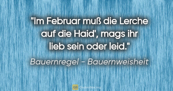 Bauernregel - Bauernweisheit Zitat: "Im Februar muß die Lerche auf die Haid', mags ihr lieb sein..."