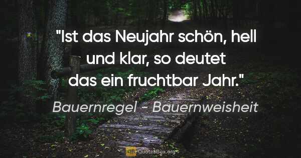 Bauernregel - Bauernweisheit Zitat: "Ist das Neujahr schön, hell und klar, so deutet das ein..."