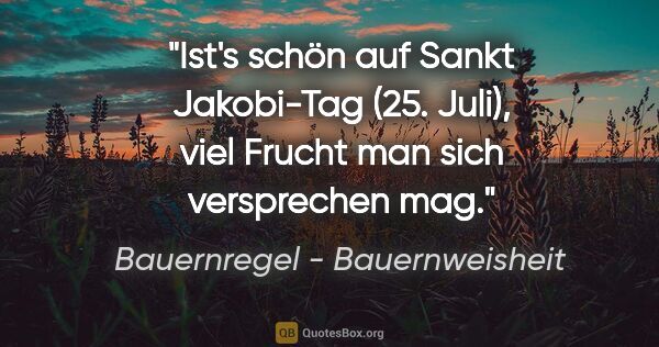 Bauernregel - Bauernweisheit Zitat: "Ist's schön auf Sankt Jakobi-Tag (25. Juli), viel Frucht man..."