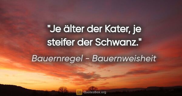 Bauernregel - Bauernweisheit Zitat: "Je älter der Kater, je steifer der Schwanz."