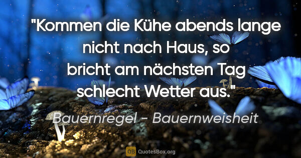 Bauernregel - Bauernweisheit Zitat: "Kommen die Kühe abends lange nicht nach Haus, so bricht am..."