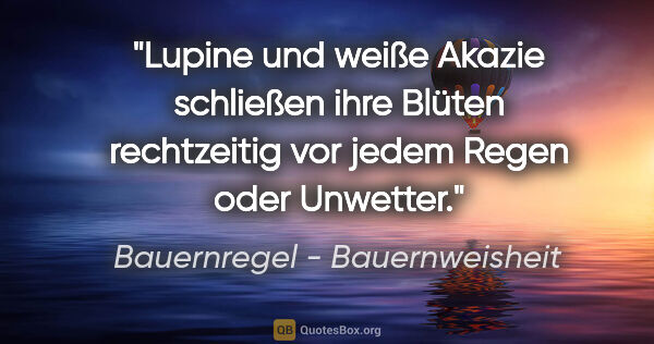 Bauernregel - Bauernweisheit Zitat: "Lupine und weiße Akazie schließen ihre Blüten rechtzeitig vor..."