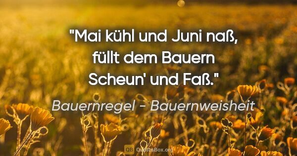 Bauernregel - Bauernweisheit Zitat: "Mai kühl und Juni naß, füllt dem Bauern Scheun' und Faß."