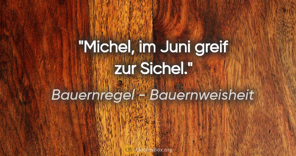 Bauernregel - Bauernweisheit Zitat: "Michel, im Juni greif zur Sichel."