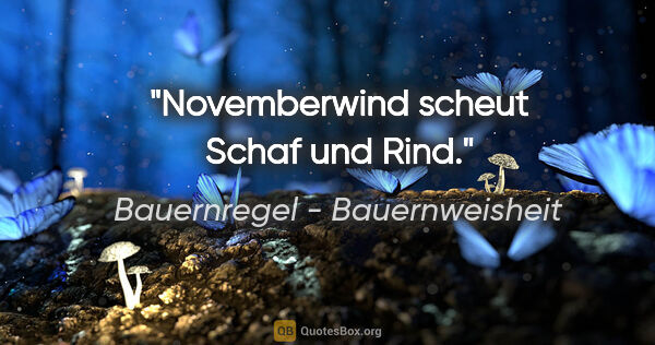 Bauernregel - Bauernweisheit Zitat: "Novemberwind scheut Schaf und Rind."