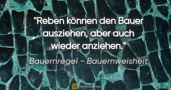 Bauernregel - Bauernweisheit Zitat: "Reben können den Bauer ausziehen, aber auch wieder anziehen."