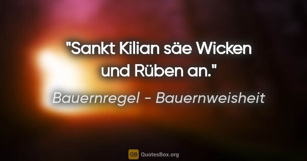 Bauernregel - Bauernweisheit Zitat: "Sankt Kilian säe Wicken und Rüben an."