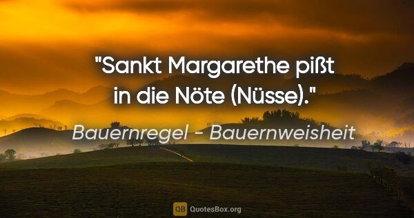 Bauernregel - Bauernweisheit Zitat: "Sankt Margarethe pißt in die Nöte (Nüsse)."