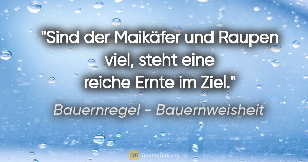 Bauernregel - Bauernweisheit Zitat: "Sind der Maikäfer und Raupen viel, steht eine reiche Ernte im..."