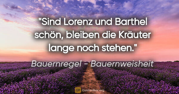 Bauernregel - Bauernweisheit Zitat: "Sind Lorenz und Barthel schön, bleiben die Kräuter lange noch..."