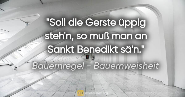 Bauernregel - Bauernweisheit Zitat: "Soll die Gerste üppig steh'n, so muß man an Sankt Benedikt sä'n."