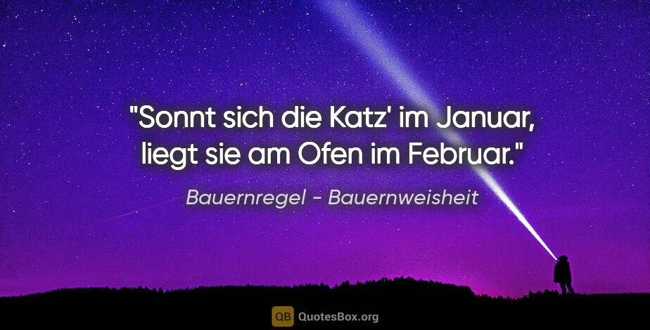 Bauernregel - Bauernweisheit Zitat: "Sonnt sich die Katz' im Januar, liegt sie am Ofen im Februar."