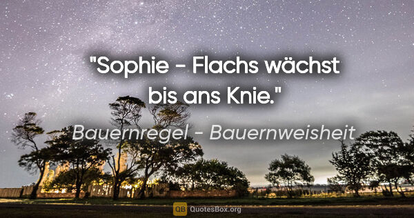 Bauernregel - Bauernweisheit Zitat: "Sophie - Flachs wächst bis ans Knie."