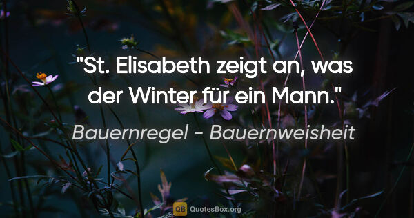 Bauernregel - Bauernweisheit Zitat: "St. Elisabeth zeigt an, was der Winter für ein Mann."